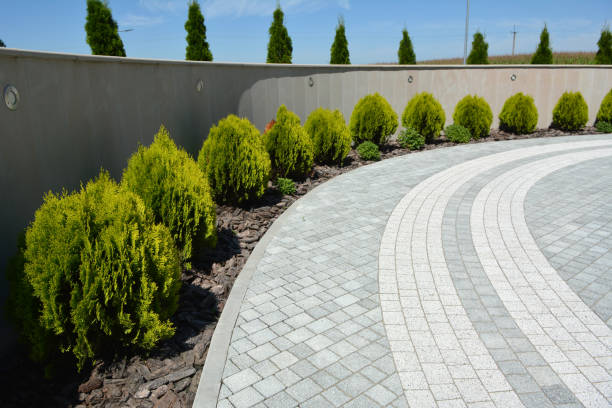 Best Interlocking Driveway Pavers  in Council Bluffs, IA